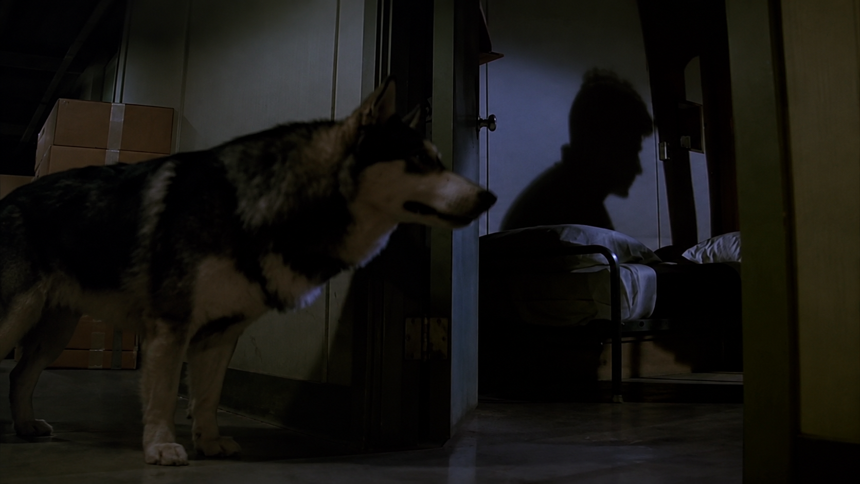 13. A Atuação Inquietante do Cão Jed