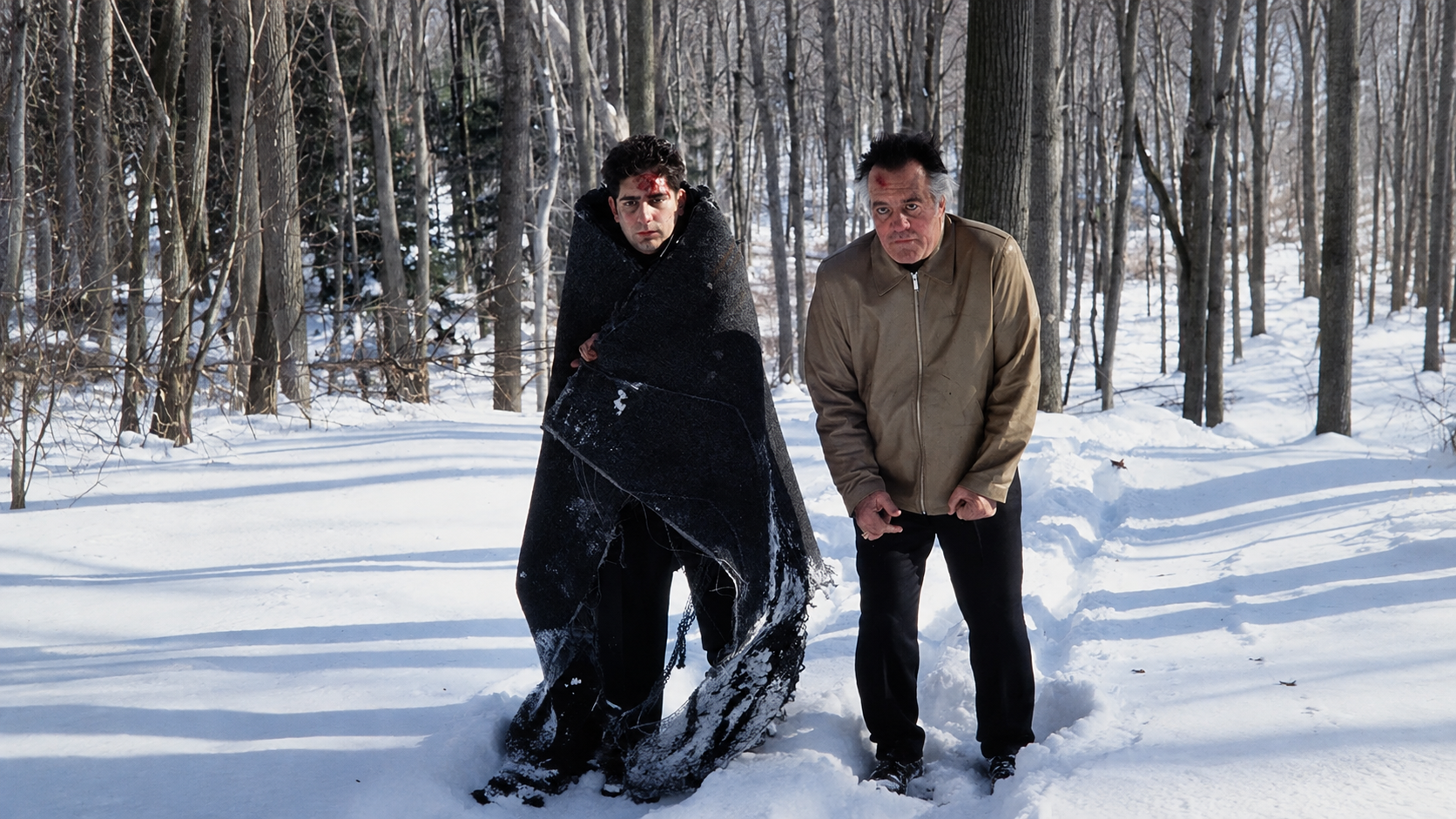 16. O Fenômeno "Pine Barrens"